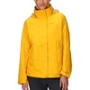 Jackfruit - Latest Collection